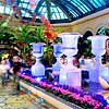 Bellagio Conservatory