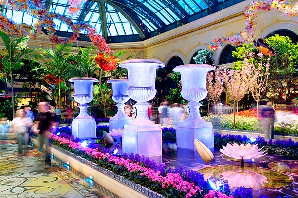 Bellagio Conservatory